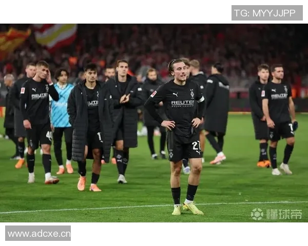 球队首次进入德甲：新晋德甲球队的挑战与机遇